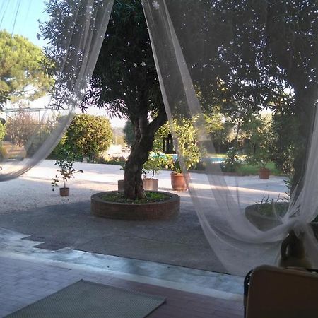 Il Gelso Di Barcuzzi Bed and Breakfast Lonato del Garda Exterior foto