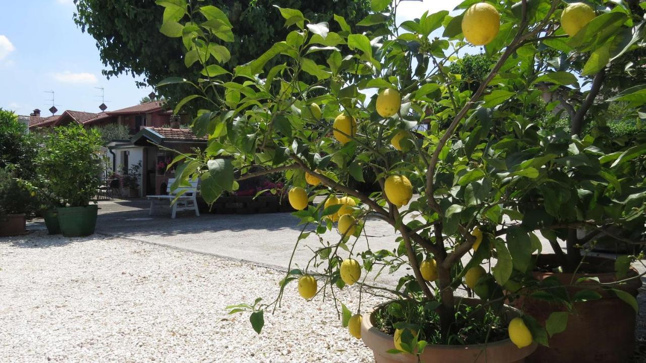 Il Gelso Di Barcuzzi Bed and Breakfast Lonato del Garda Exterior foto